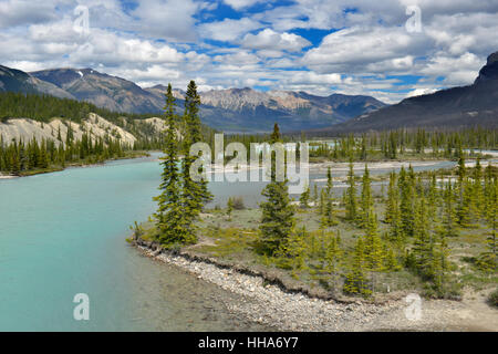 Saskatchewan River Crossing sur la promenade des Glaciers, le Parc National de Jasper, Canada. Banque D'Images