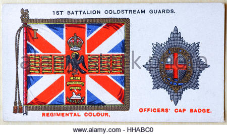 1er Bataillon Coldstream Guards regimental insigne et standard Banque D'Images