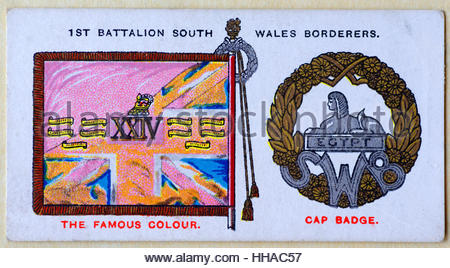 1er Bataillon South Wales Borderers insigne régimentaire et standard Banque D'Images