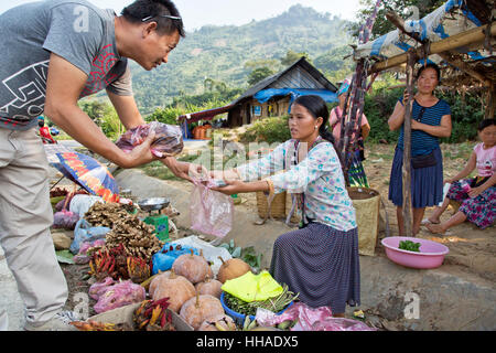 Jeune femme Hmong agriculteur vendant ses home herbes, épices, herbes médicinales naturelles, & légumes le long de la chaussée. Banque D'Images