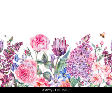 Aquarelle Jardin Vintage floral violet printemps frontière perméable Banque D'Images