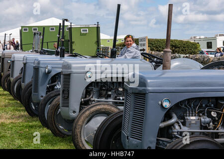 Une jeune fille tente la roue d'un tracteur dans une rangée de Ferguson T20 au Show d'Anglesey Banque D'Images