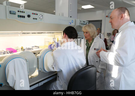 La duchesse de Cornouailles, connu sous le nom de Duchesse de Rothesay tandis qu'en Ecosse, avec le personnel à l'extérieur du centre d'analyse de la densité de l'OS mobile lors de sa visite à l'Université d'Aberdeen où elle a ouvert un laboratoire à sa Foresterhill campus. Banque D'Images