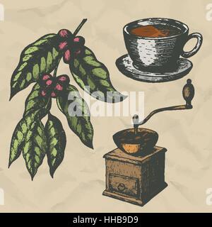 Une branche de café, vintage rectifieuse de café et une tasse de café. Gravure à la main. Vector illustration. Illustration de Vecteur