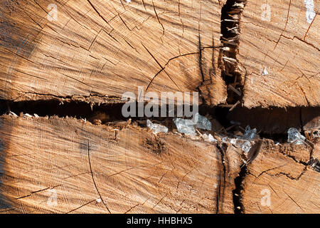 Le verre, calice, tumbler, objet, macro, close-up, Close up, admission macro Banque D'Images