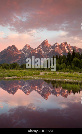 WY02065-00...WYOMING - les Tetons se reflétant dans un étang de castors sur la Snake River au lever du soleil dans le Grand Teton National Park. Banque D'Images