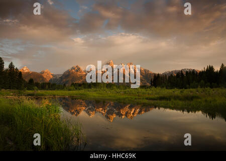 WY02070-00...WYOMING - les Tetons se reflétant dans un étang de castors sur la Snake River au lever du soleil dans le Grand Teton National Park. Banque D'Images