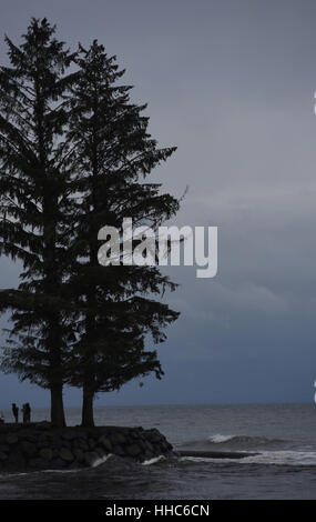 Les chiffres qui se profile se tiennent près de deux grands arbres sur une pointe de terre à côté de l'océan Pacifique un jour nuageux gris sur l'île de Vancouver Banque D'Images