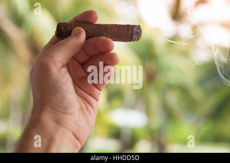 Cigare fait main dans la main des hommes, photo gros plan avec selective focus Banque D'Images