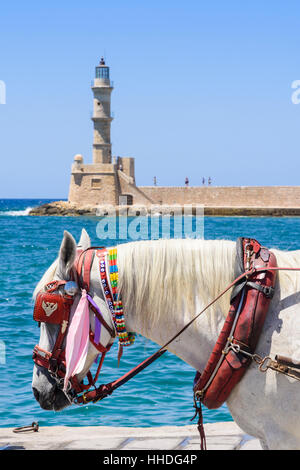 Se concentrer sur un cheval sur la promenade au bord de l'eau avec le phare en arrière-plan, la Canée, Crète, Grèce Banque D'Images