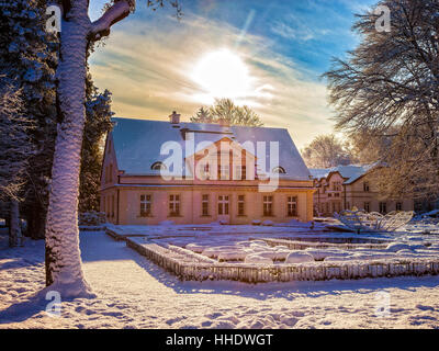 La neige a couvert parc de la ville de Oliwa, Pologne. Banque D'Images