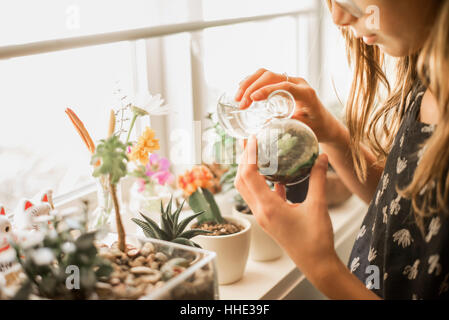 Girl tending plants sur le rebord ensoleillé. Banque D'Images