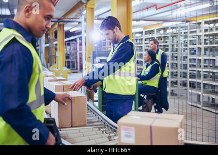 Numérisation et traitement des travailleurs des boîtes sur convoyeur à bande dans l'entrepôt de distribution Banque D'Images