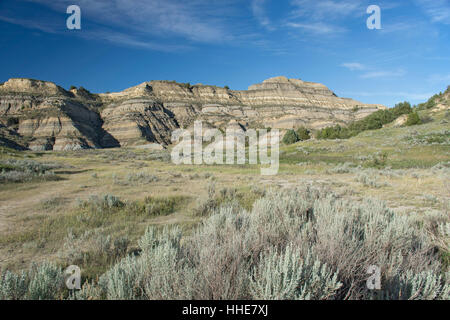 Paysage du Parc National Theodore Roosevelt. Banque D'Images