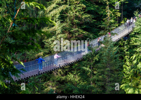 Les touristes sur la Cime des arbres du parc Capilano Aventure, Vancouver, Colombie-Britannique, Canada. Banque D'Images