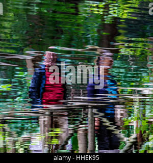 Réflexions dans l'eau de touristes marchant à travers la cime des arbres Capilano Adventure Park, Vancouver, Canada Banque D'Images