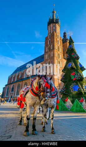 Voitures d'équitation les touristes sur l'arrière-plan de la cathédrale de Mariacki Banque D'Images