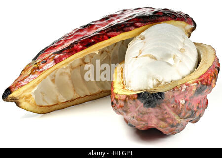 Fruits cacao isolé sur fond blanc Banque D'Images