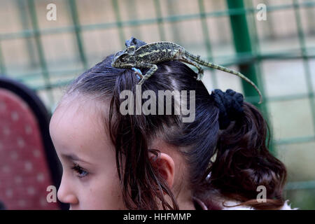 Giza, Egypte. 19 Jan, 2017. La fille de Tolba est vu avec un lézard sur sa tête à Tolba's zoo privé à Gizeh, Egypte. Africano Tolba Village est un zoo privé établi par 50-year-old hunter Salah Tolba. Il a décidé de transformer son hobby en une exposition d'animaux rares d'affaires par l'intermédiaire d'un zoo privé sous licence. Source : Xinhua/Alamy Live News Banque D'Images