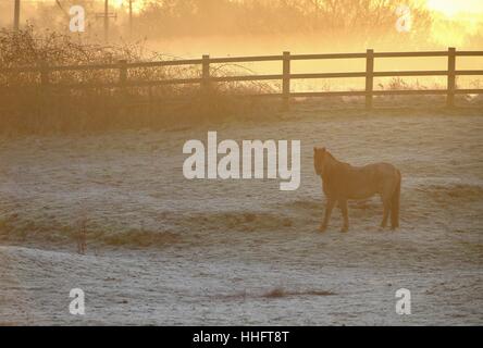 Firle, East Sussex, UK. 19 janvier 2017. Pour commencer la journée froide dans l'East Sussex que les températures restent bien en dessous de zéro. Crédit : Peter Cripps/Alamy Live News Banque D'Images