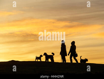 Dog Walkers regarder le coucher du soleil d'hiver sur le haut de Blackford Hill, Édimbourg Banque D'Images