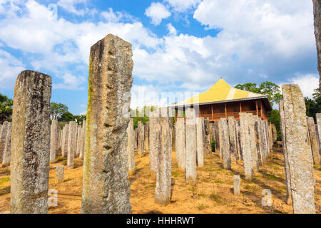 Piliers de pierre sont tout ce qu'il reste des ruines du palais d'Airain ou Lovamahapaya en ancienne Anuradhapura Banque D'Images