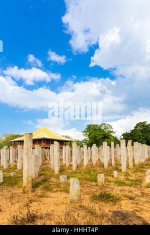 Piliers en pierre d'origine verticale sont tout ce qui reste des ruines du palais d'Airain ou Lovamahapaya en Anuradhapura Banque D'Images