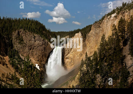 WY02099-00...WASHINGTON - Lower Falls dans le Grand Canyon de la Yellowstone River dans le Parc National de Yellowstone. Banque D'Images