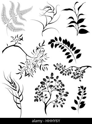 Silhouettes stylisées peint artistiquement de branches et de plantes décoratives. Illustration de Vecteur