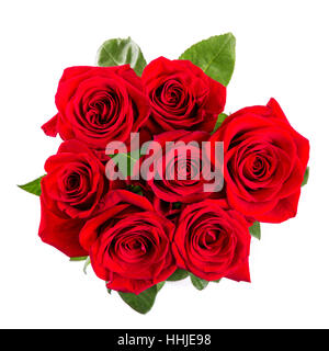 Bouquet de roses rouge isolé sur fond blanc Banque D'Images