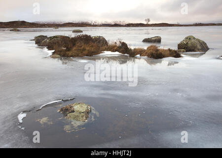 Un petit Lochan sur Rannock Moor en janvier couvert de glace Banque D'Images