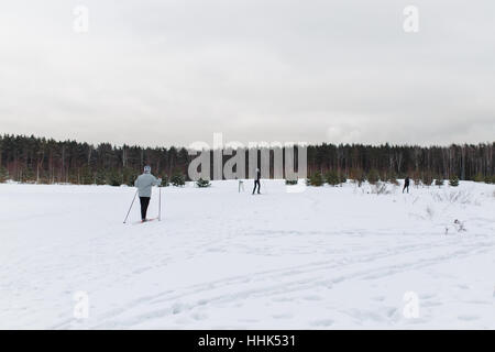 Femme ski en hiver woods Banque D'Images