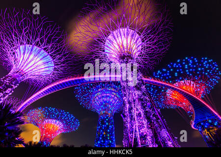 La ville de Singapour, Singapour - 8 janvier 2016 Supertree Grove dans l'Gradens par la baie Banque D'Images