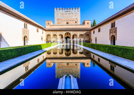 Alhambra, Grenade, Espagne. Les Palais Nasrides (Palacios Nazaríes) dans la forteresse de l'Alhambra. Banque D'Images