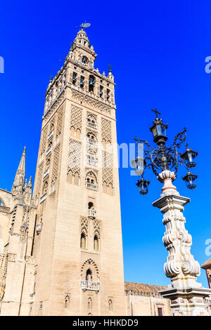 Cathédrale de Séville, Andalousie, Espagne Banque D'Images