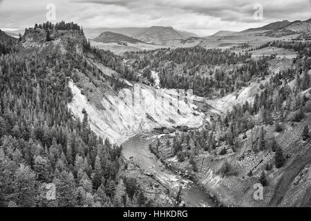 Photo en noir et blanc du Parc National de Yellowstone, Wyoming, USA. Banque D'Images