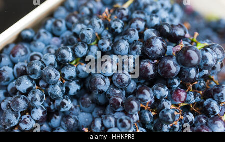 Raisin tourné sur le marché le matin après la rosée Banque D'Images