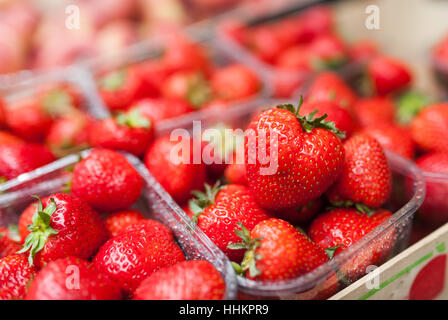 Strawberry shot sur le marché le matin après la rosée Banque D'Images