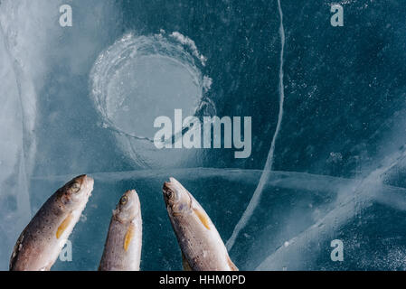 La pêche d'hiver sur le lac. Banque D'Images