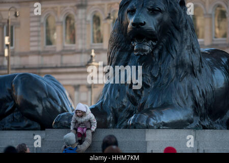 Une jeune fille se trouve sous l'une des quatre statues lion énorme à la base de la colonne Nelson, le 17 janvier 2017, à Trafalgar Square, Londres, Angleterre. La colonne dédiée à l'Amiral Lord Nelson naval héroïque est gardé par les quatre lions en bronze monumental sculpté par Sir Edwin Landseer. Au cours des dernières années, il y a eu de nombreuses chutes depuis les lions et des blessures graves, y compris la nécessité de l'ambulance aérienne. Banque D'Images