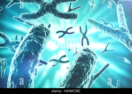 Les chromosomes XY comme un concept de la biologie humaine symbole médical la thérapie génique ou la microbiologie à la recherche génétique. Le rendu 3D Banque D'Images