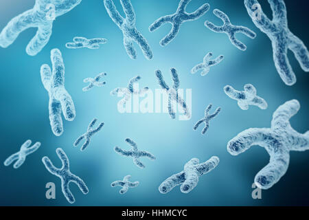 Les chromosomes XY comme un concept de la biologie humaine symbole médical la thérapie génique ou la microbiologie à la recherche génétique. Le rendu 3D Banque D'Images