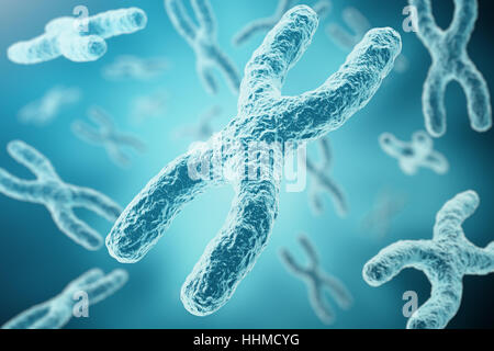 Les chromosomes XY comme un concept de la biologie humaine symbole médical la thérapie génique ou la microbiologie à la recherche génétique. Le rendu 3D Banque D'Images