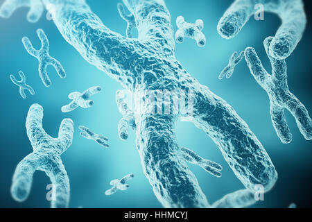 Les chromosomes XY comme un concept de la biologie humaine symbole médical la thérapie génique ou la microbiologie à la recherche génétique. Le rendu 3D Banque D'Images