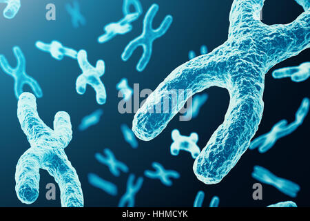 Les chromosomes XY comme un concept de la biologie humaine symbole médical la thérapie génique ou la microbiologie à la recherche génétique. Le rendu 3D Banque D'Images