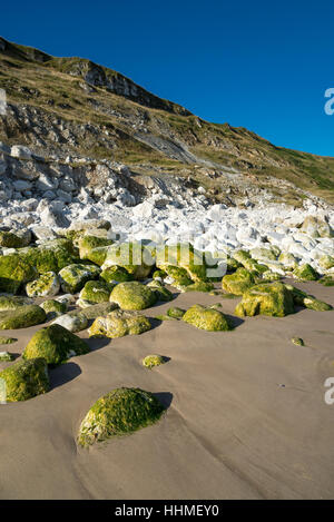 Rochers de craie Speeton sands, Filey Bay, North Yorkshire, Angleterre. Banque D'Images