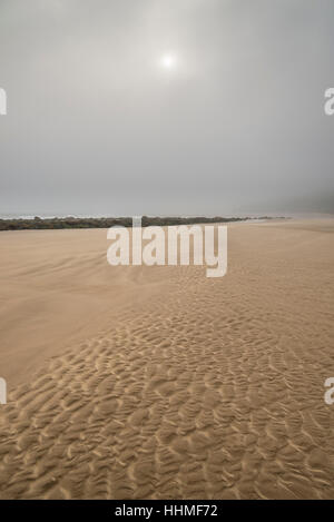 Montrant le matin soleil brume sur la plage de sable de Cayton Bay, North Yorkshire, Angleterre. Banque D'Images