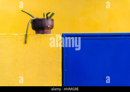 Mur de la maison colorée, Olinda, site du patrimoine mondial de l'UNESCO, de l'état de Pernambuco, Brésil, Amérique du Sud Banque D'Images