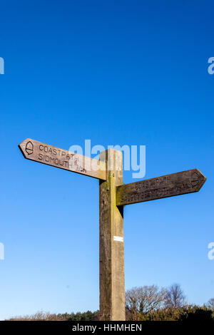 Sentier du littoral sur l'orientation haut de Salcombe Hill falaises se dirigeant à Sidmouth et Salcombe bouche. Banque D'Images
