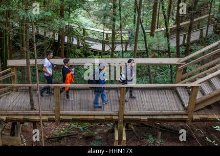 Les touristes sur la Cime des arbres du parc Capilano Aventure, Vancouver, Colombie-Britannique, Canada. Banque D'Images